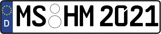 MS-HM2021