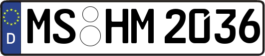 MS-HM2036