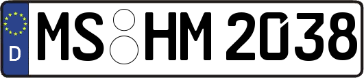 MS-HM2038
