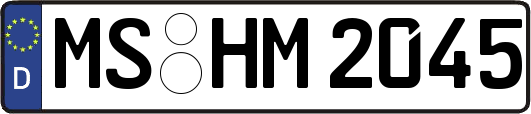 MS-HM2045