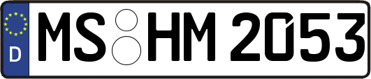 MS-HM2053