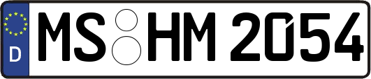MS-HM2054