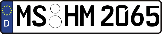 MS-HM2065