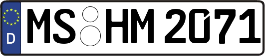 MS-HM2071