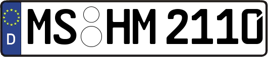 MS-HM2110