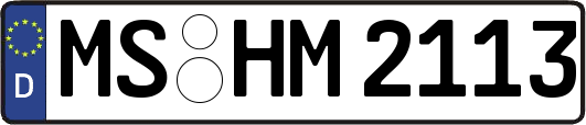 MS-HM2113
