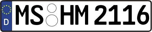 MS-HM2116