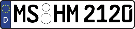 MS-HM2120