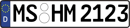 MS-HM2123