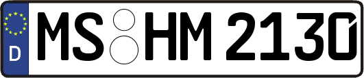 MS-HM2130