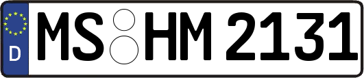 MS-HM2131