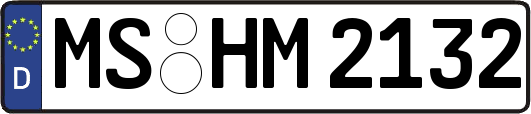 MS-HM2132