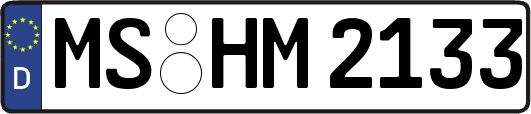MS-HM2133