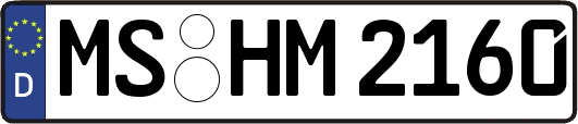 MS-HM2160