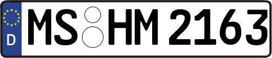MS-HM2163