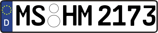 MS-HM2173
