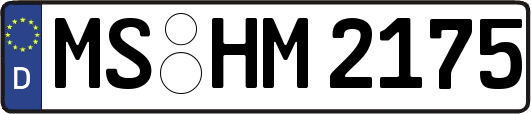 MS-HM2175