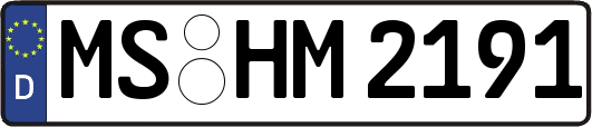 MS-HM2191