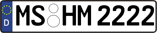 MS-HM2222