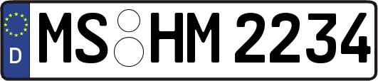 MS-HM2234