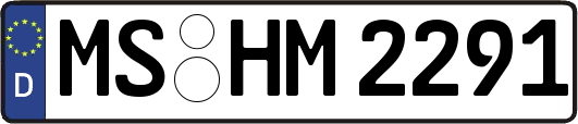 MS-HM2291