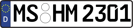 MS-HM2301