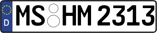 MS-HM2313