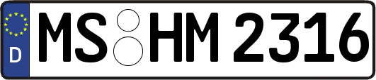 MS-HM2316