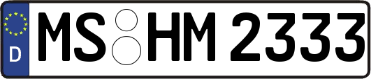 MS-HM2333