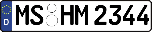 MS-HM2344