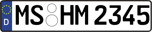 MS-HM2345