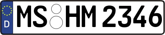 MS-HM2346