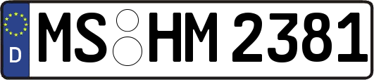 MS-HM2381