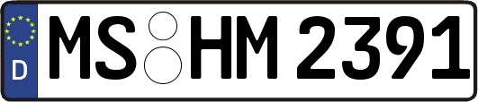 MS-HM2391