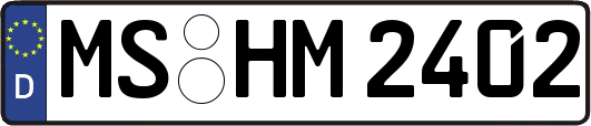 MS-HM2402