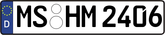 MS-HM2406
