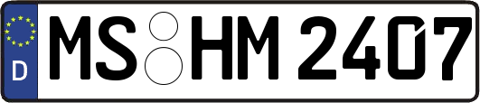MS-HM2407