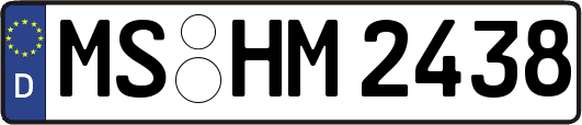 MS-HM2438