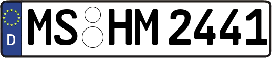 MS-HM2441
