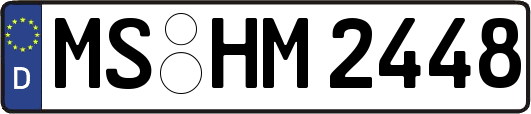 MS-HM2448