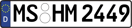 MS-HM2449