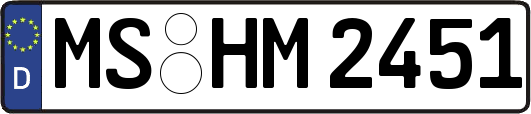 MS-HM2451