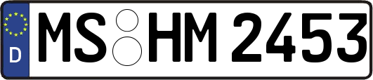 MS-HM2453