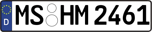 MS-HM2461