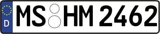 MS-HM2462