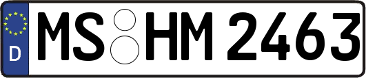 MS-HM2463