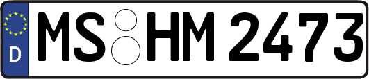 MS-HM2473