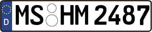 MS-HM2487