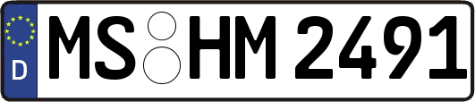 MS-HM2491