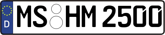MS-HM2500